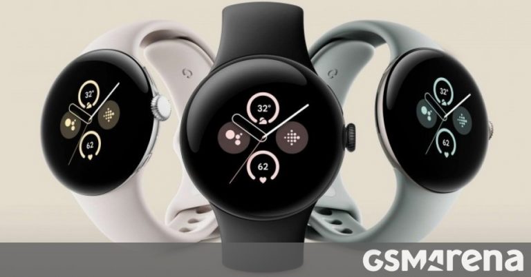 Google Pixel Watch 3 passes through the FCC in two sizes