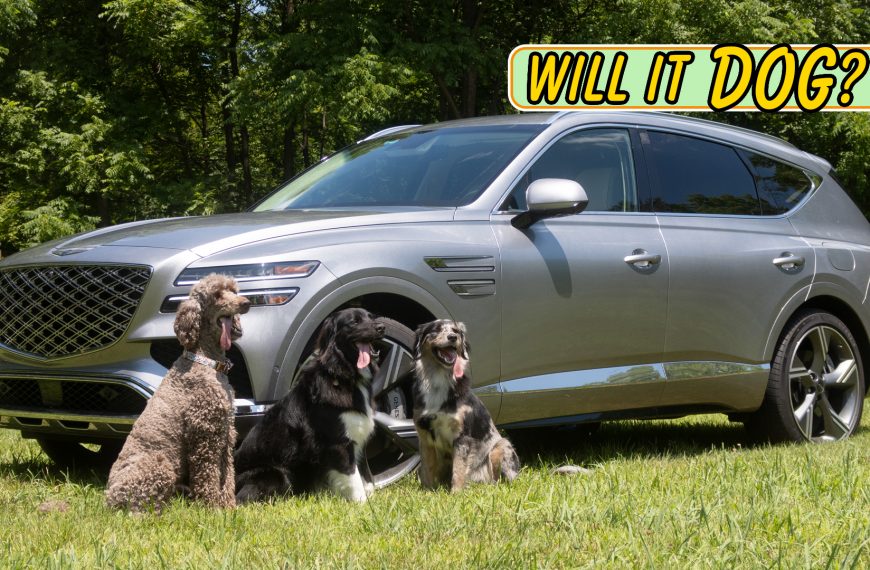 The 2025 Genesis GV80 Is a Nice Luxurious Machine That Your Canine Will Love