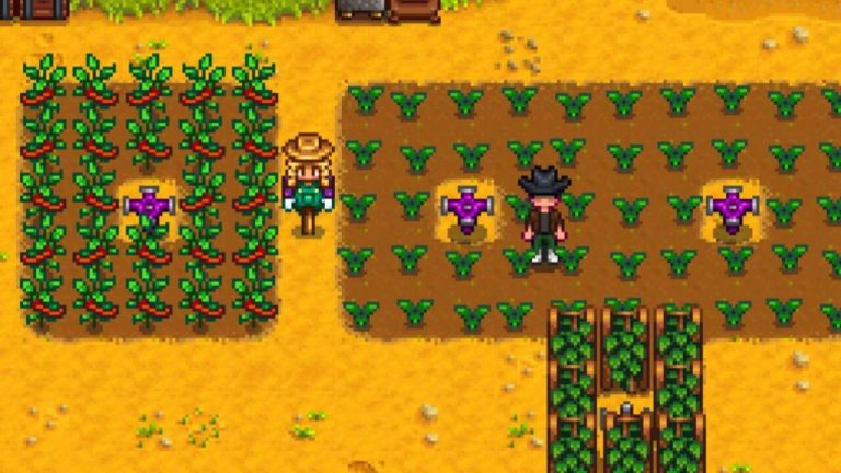 Best Summer Crops In Stardew Valley