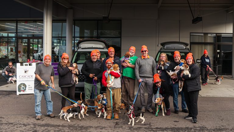 Paws Across America: Car Enthusiasts Unite for Epic Canine Rescue Mission