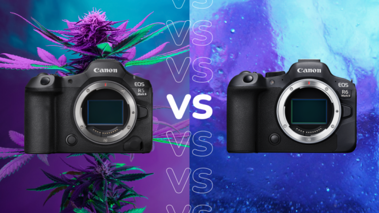 The two Canon cameras compared