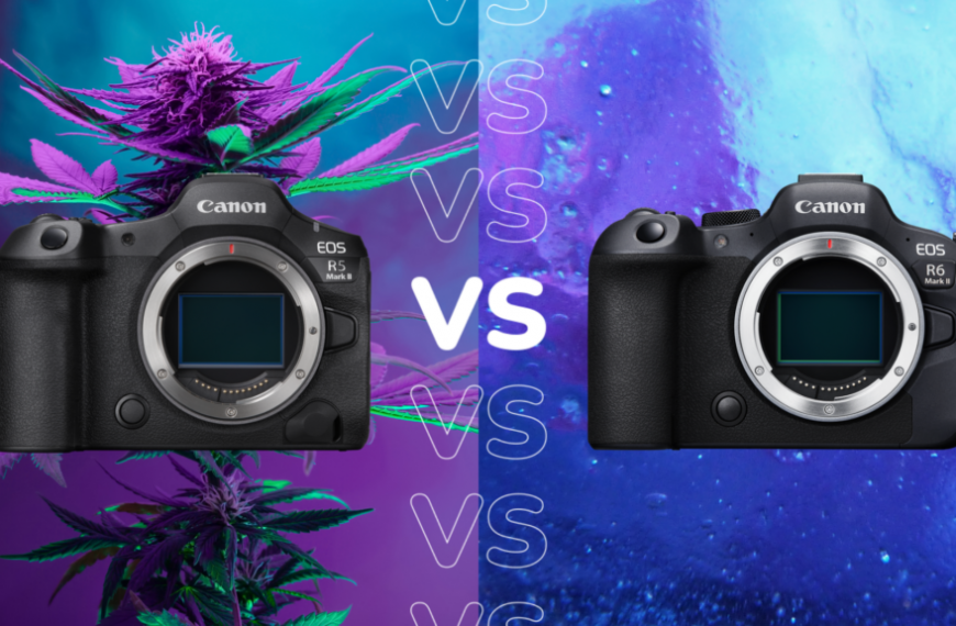 The two Canon cameras compared