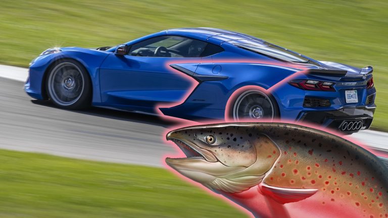 There’s a Fish on the Side of the Chevy Corvette