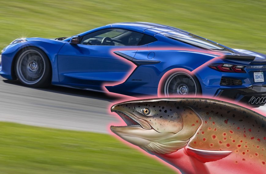 There’s a Fish on the Side of the Chevy Corvette