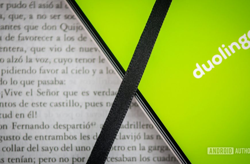 The Devastating Consequences of Abusing Duolingo’s Learning Secrets