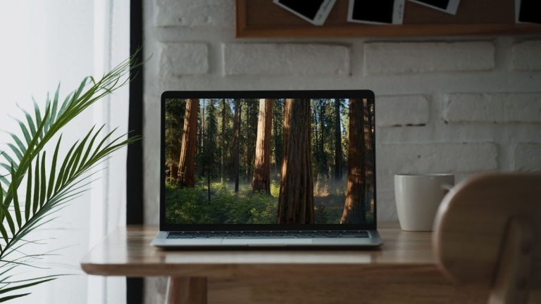 New macOS Sequoia beta has a secret serene wallpaper that’ll turn your desktop into a hidden forest