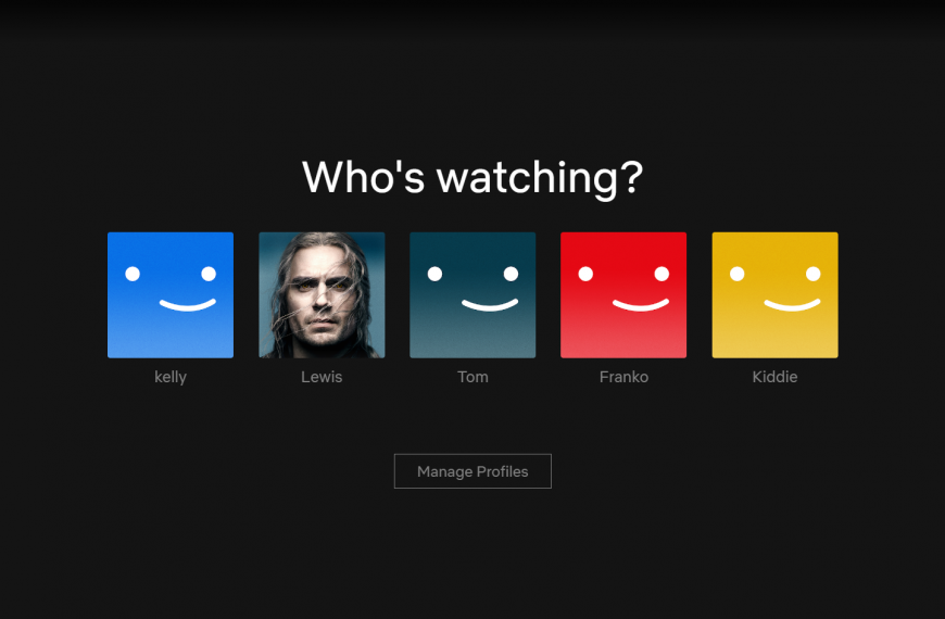 How to add an extra member on Netflix