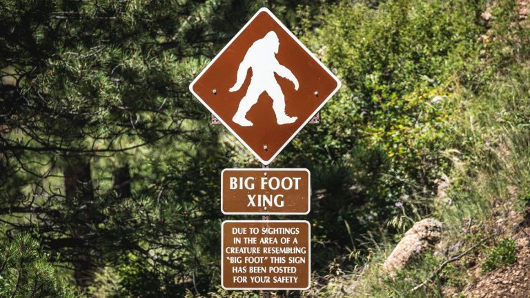 Uncover the Truth: AI-Powered Bigfoot Detection