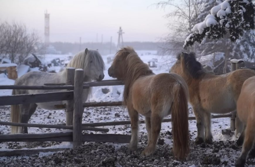 Uncover the Fierce Bitterness of the Coldest Town on Earth: A Stunning Mini Documentary