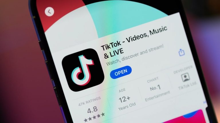 TikTok EU Gatekeeper Designation: Overcome Failed Appeal to Avoid Status