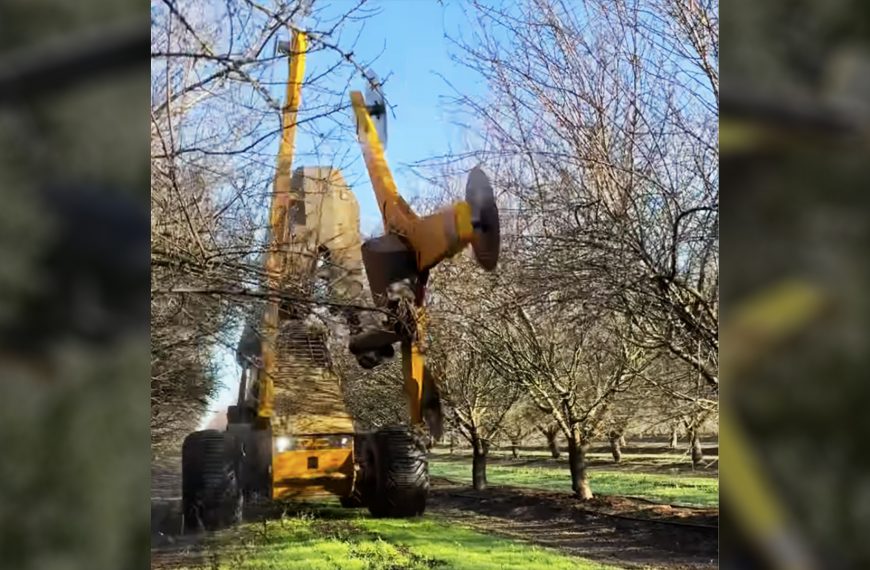 Revolutionize Tree Management with the…