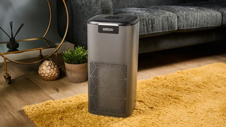 AiDot Welov P200 Pro Smart Air Purifier review: whip-smart features, but it misses a few airborne nasties