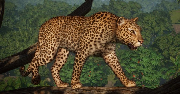 Planet Zoo’s Wildlife Adventure Continues: New DLC and a Roar-some Free Gift Arrives