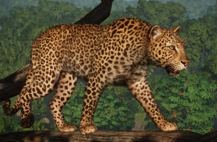 Planet Zoo’s Wildlife Adventure Continues: New DLC and a Roar-some Free Gift Arrives