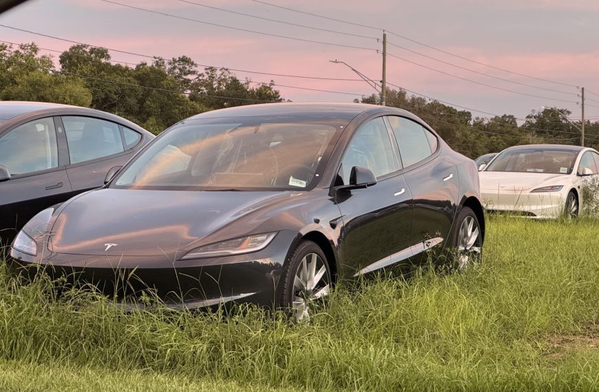 Tesla Is Stocking Unsold, Brand-New Model 3s in an Overgrown Field in Florida