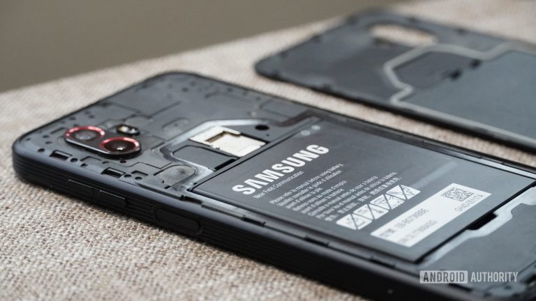 Would you pay a premium for a removable battery smartphone?